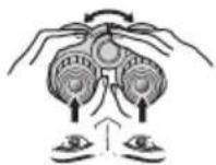 NIKON Prostaff P7 - DnontpnHna HacTpoKa - 3