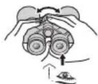 NIKON Prostaff P7 - Dioptria beallitasa - 5