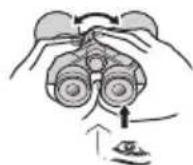 NIKON Prostaff P7 - Regolazione diottrica - 5