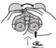 NIKON Prostaff P7 - ■CF: Binoclu cu focalizare centrala Binoclu cu inelul de reglaj dioptic situat pe ocularul drept. - 5
