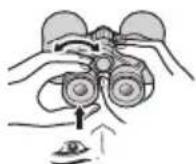 NIKON Prostaff P7 - CF キイフの双眼鏡 - 6