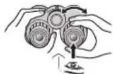 NIKON Prostaff P7 - Regolazione diottrica - 2