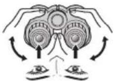 NIKON Prostaff P7 - Pupilldistansjustering - 1