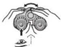 NIKON Prostaff P7 - Regolazione diottrica - 1