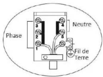 CONTINENTAL EDISON CECP903FIX - 1-a. Branchement en monophasé 220-240V \~ 50Hz - 2