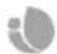 NGS WILD DUB 1 - SPECIFICHE TECNICHE - 1