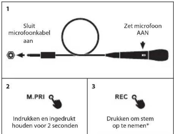 NGS WILD Samba - KARAOKE/MIC - 1
