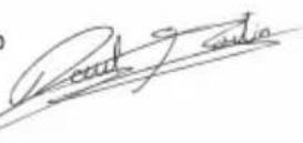 NGS WILD Samba - STEUERTASTEN - 2