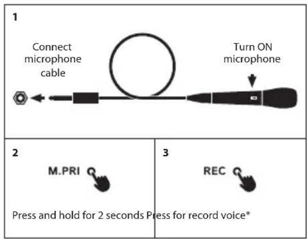 NGS WILD Samba - KARAOKE/MIC - 1