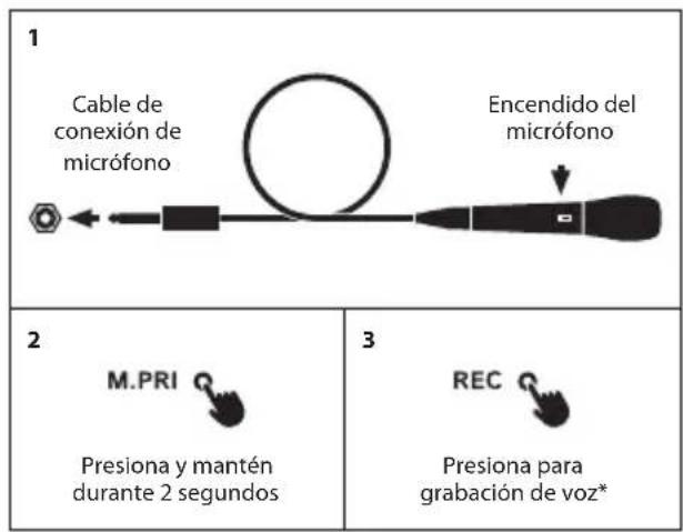 NGS WILD Samba - KARAOKE/MIC - 1