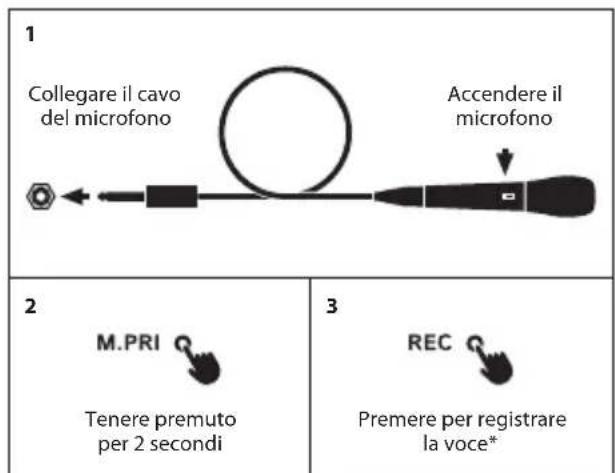 NGS WILD Samba - KARAOKE/MIC - 1