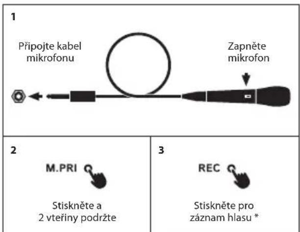 NGS WILD Samba - KARAOKE/MIKROFON - 1