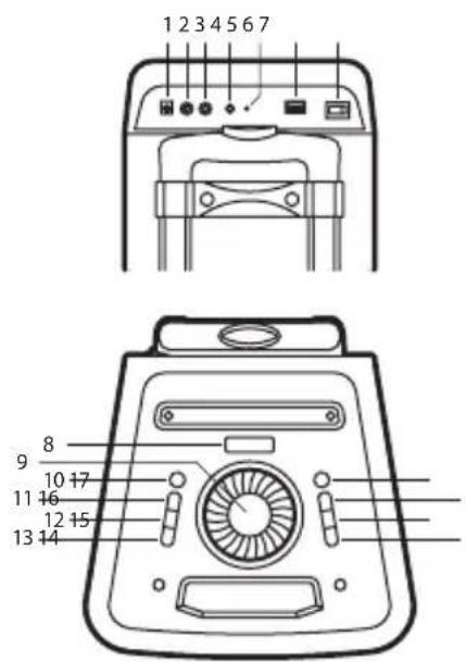 NGS Wild Rave 2 - DESCRIPTION OF TOP AND BACK PANEL - 1