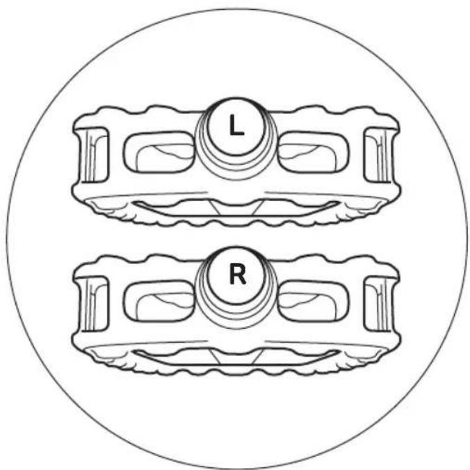 L R