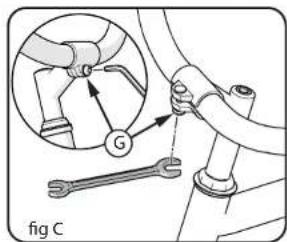 G fig C