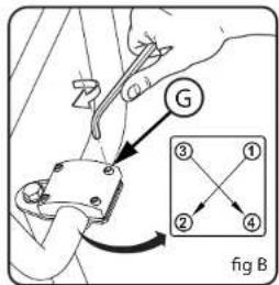 G 3 1 2 4 fig B