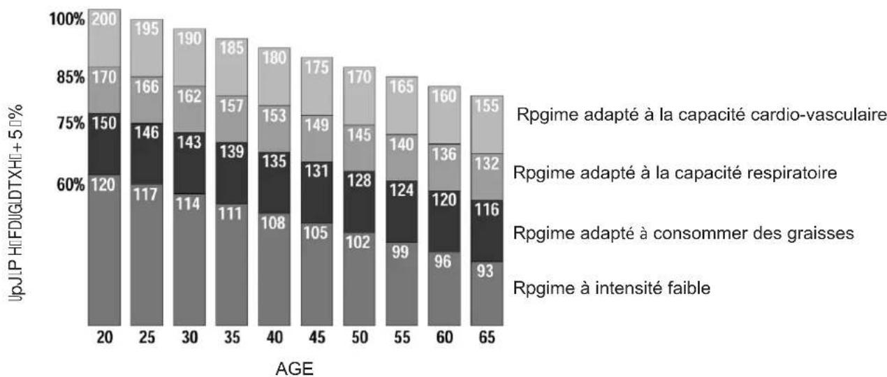 Toorx BRX95 - Connexion électrique - 3