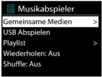 Musikabspieler Gemeinsame Medien > USB Abspielen Playlist > Wiederholen: Aus Shuffle: Aus
