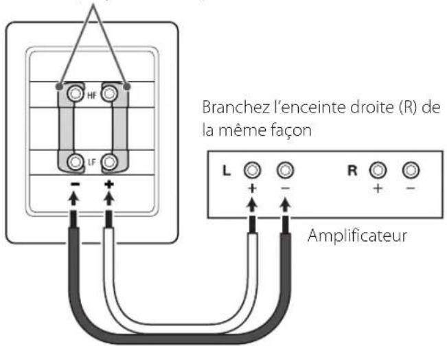 TEAC S300HR - Exemple de branchement des borniers de basses fréquences (LF) à un amplificateur - 1
