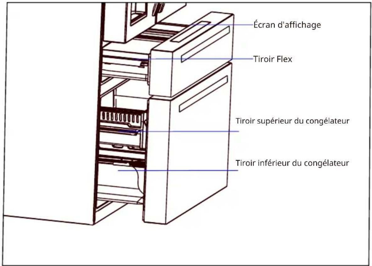 Thor TRF3601FD - STRUCTURE ET FONCTIONS - 1