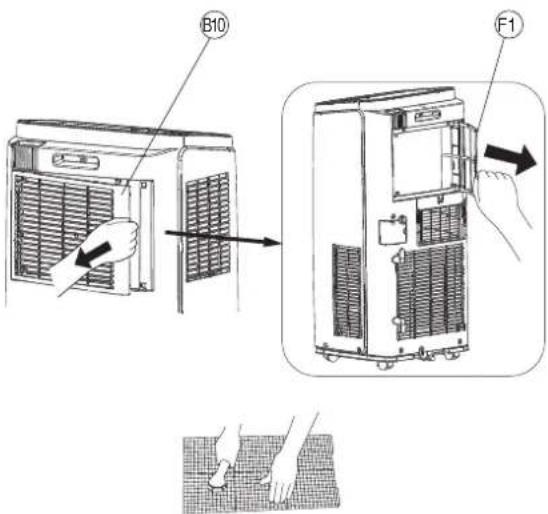B10 F1