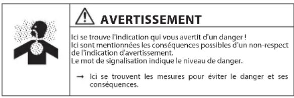 WAGNER Puma 2840 - AVENTISSEMENTS, REMARQUES ET SYMBOLES UTILISÉS DANS CE MODE D'EMPLOI - 2