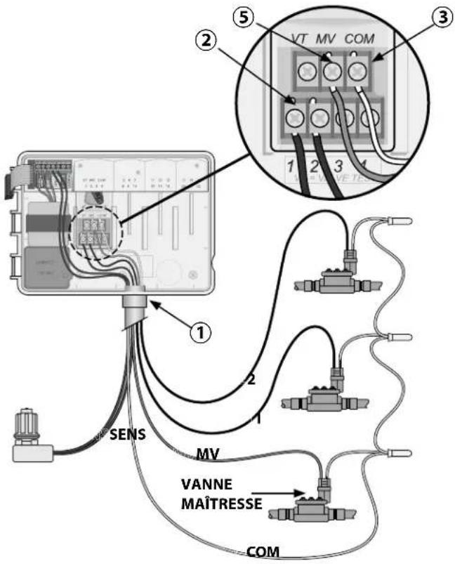 RAIN BIRD ESPME3 - Connexion de la vanne maîtresse (facultatif) - 1