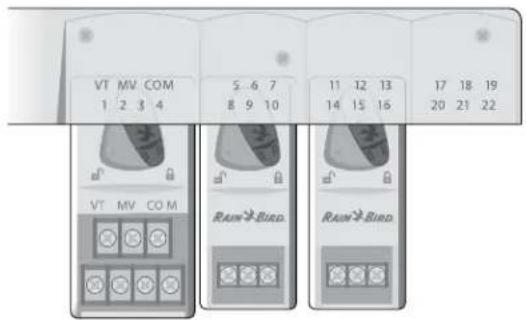 RAIN BIRD ESPME3 - Numérotage des stations - 1