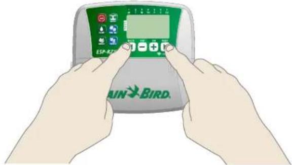 RAIN BIRD ESPRZXe - Configuration des dérivations pour toutes les zones - 1