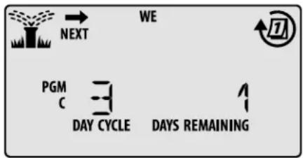 RAIN BIRD ESPTM2 - Jours cycliques - 2