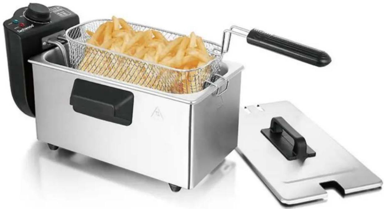 TECHWOOD TFR300A - FRITEUSE ÉLECTRIQUE INOX Manuel d'utilisation - 1