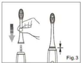 TECHWOOD TBAD035 - BROSSE A DENTS - 1