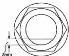 3mm