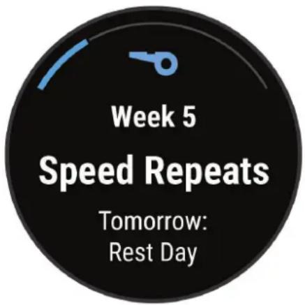 GARMIN Forerunner 255S - Démarrage de l'entraînement du jour - 1