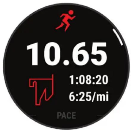 GARMIN Forerunner 255S - Prêt... Partez - 2