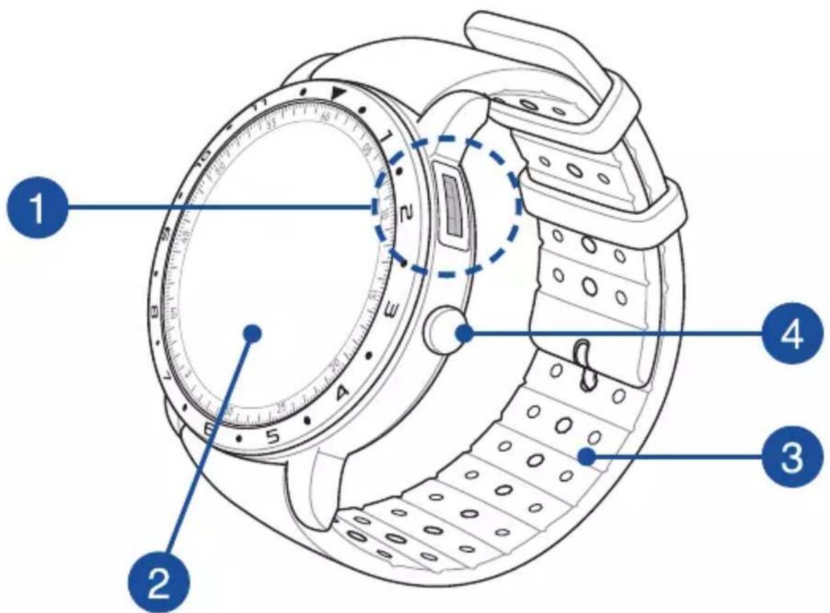 ASUS VivoWatch 5 HCB05 - Знакомство с устройством - 1