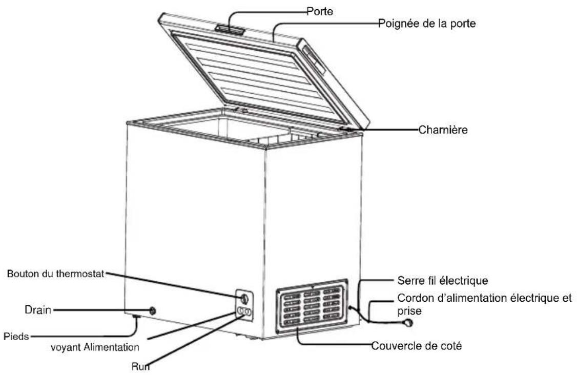HISENSE FT386D4ALF - NOM DES PIECES ET FONCTION - 1