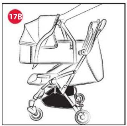 CHICCO Goody Plus - 50