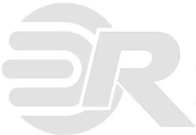 ROADSTAR RU695D+BT - INTERNATIONAL WARRANTY - INTERNATIONALE GARANTIE GARANTIE INTERNATIONALE - GARANZIA INTERNAZIONALE GARANTIA INTERNACIONAL - GARANTIA INTERNACIONAL ΔΙΕΘΝΗΣ ΕΓΓΥΗΣΗ - 1