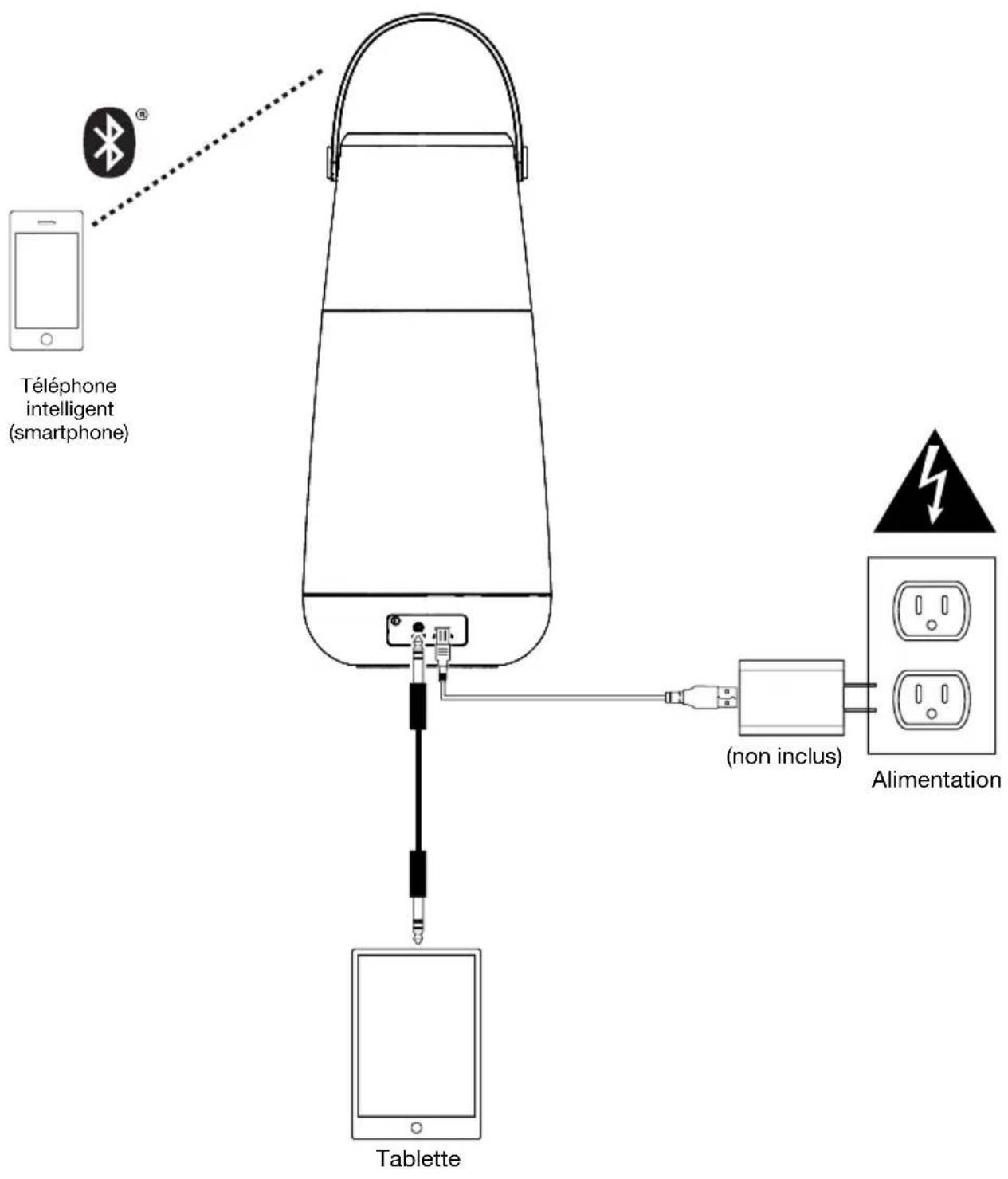 ION Bright Max Plus - Scheme de connexion - 1