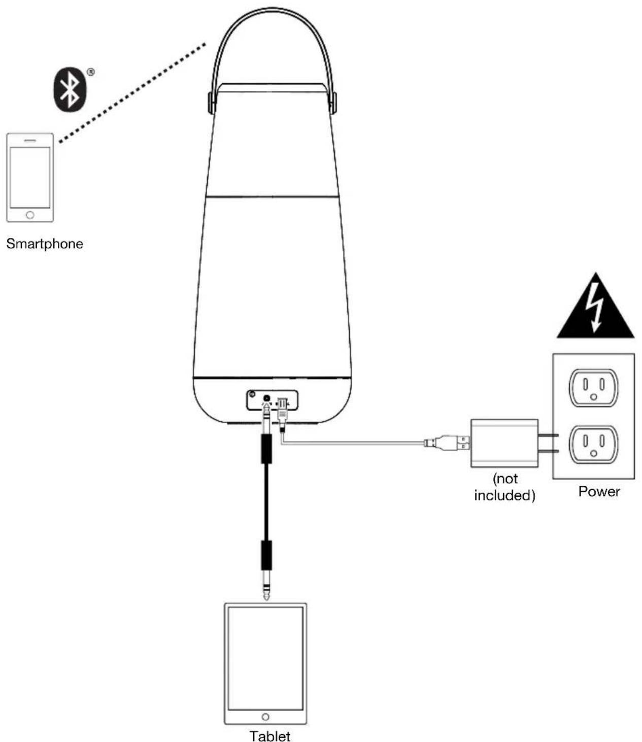 ION Bright Max Plus - Connection Diagram - 1