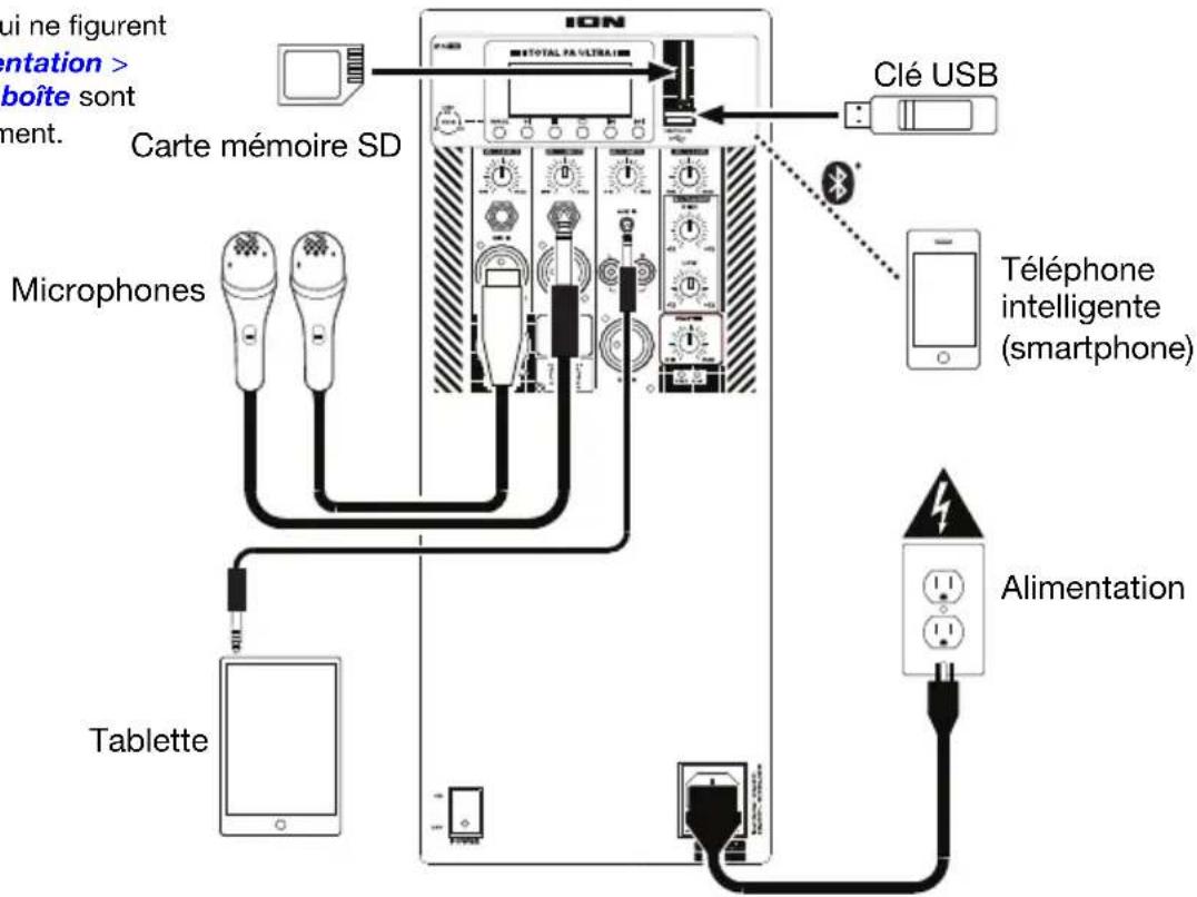 ION Total PA Ultra - Schéma de connexion - 1