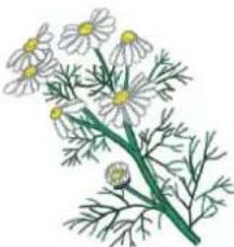 BERNINA 735 - Fleurs - 7