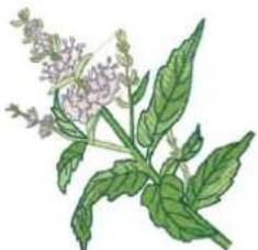 BERNINA 735 - Fleurs - 6