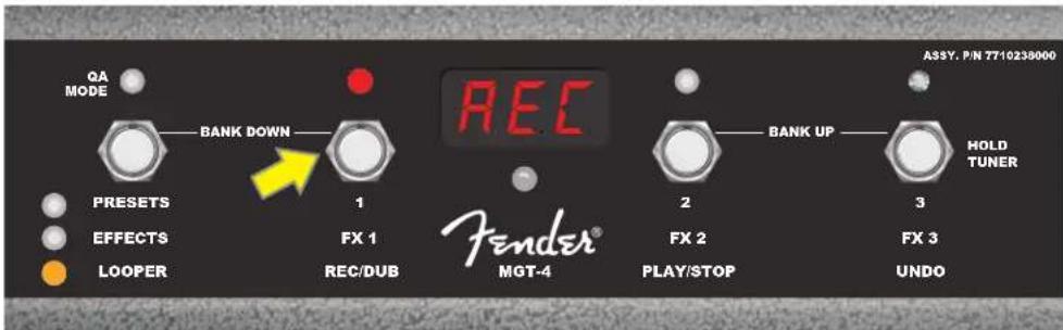 FENDER Rumble Stage 800 - MODE LOOPER (BOUCLE) - 2