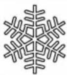 AL-KO Solo 6656 - Symbole Signification - 11