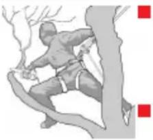 AL-KO BKS 2625 TSB - Using the chain saw with only one hand - 1