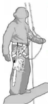 AL-KO BKS 2625 TSB - Preparing to use the chain saw on a tree - 1