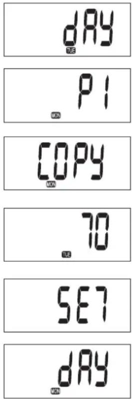 Toyotomi Zibro LC 132 - PROGRAMMARE IL WEEKLY TIMER - 2