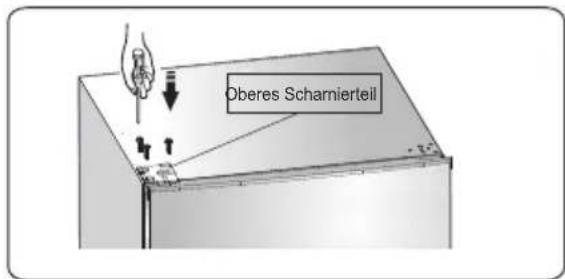 Edy EDHC8057 - Die Umkehrung der Turr - 17